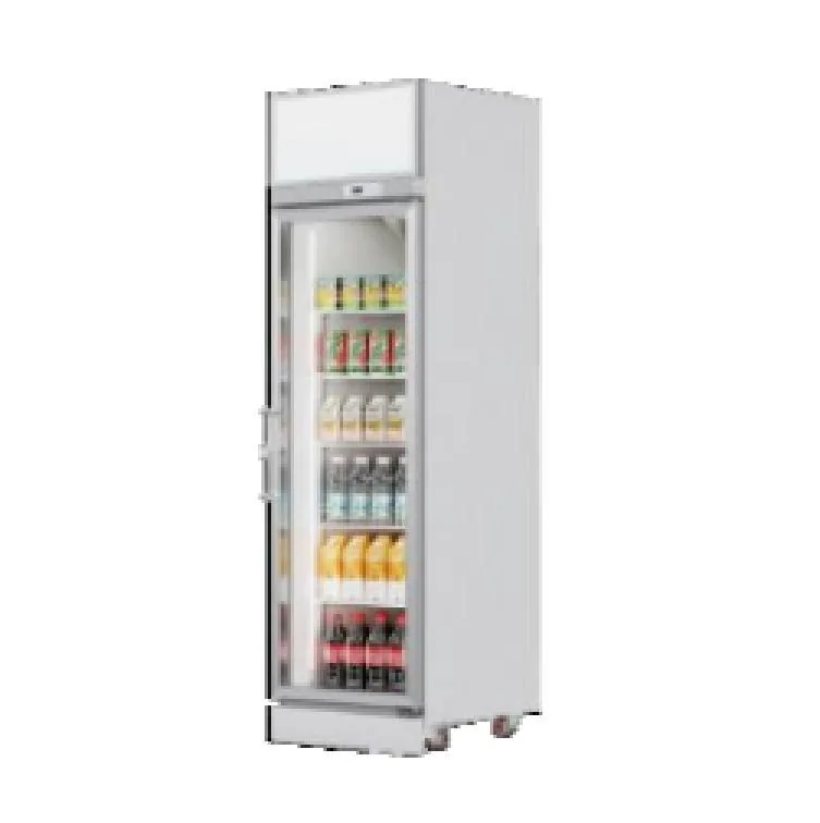XFE380SG upright commercial display refrigerator reference from the 2026 Zhonghe catalog