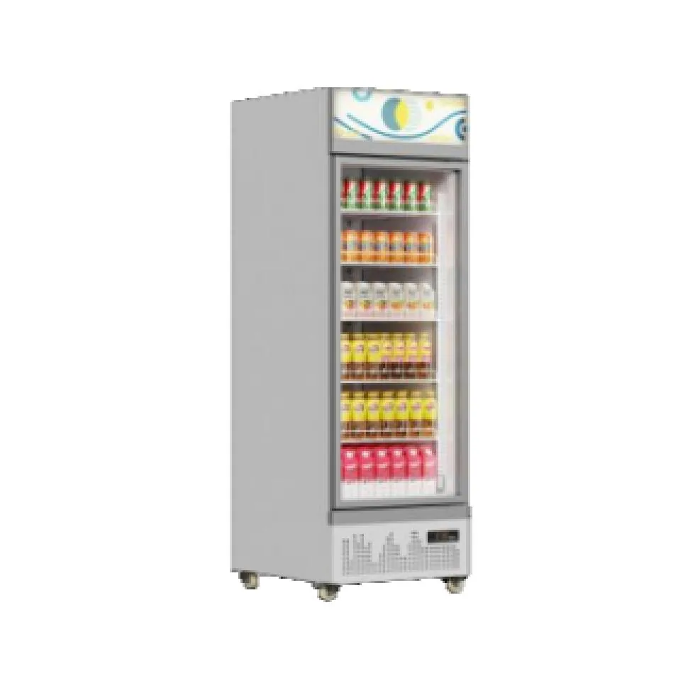 Commercial single glass door display refrigerator reference image from Zhonghe catalog