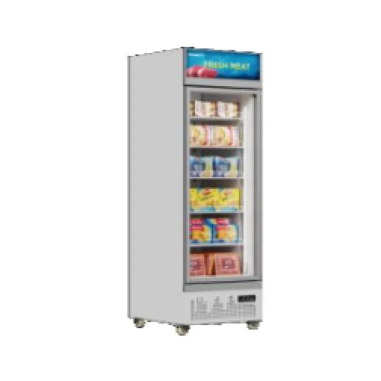 XFE-29LDM single glass-door display freezer reference from the supplied Zhonghe catalog