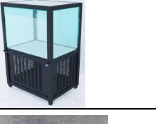 Lobster ecological tank reference image from the supplied seafood display series
